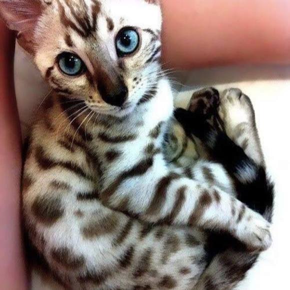 Meet your Posher, Lori - Picture 1 of 1